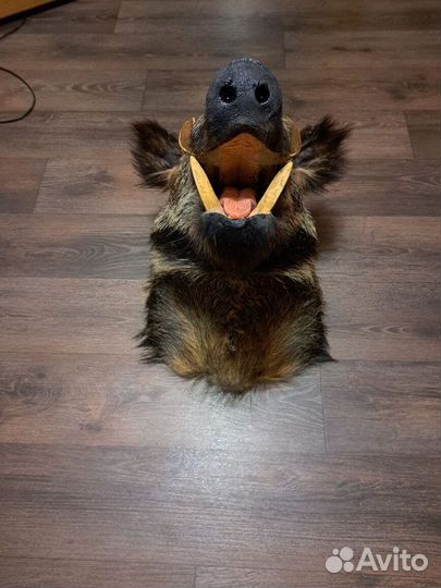 Чучело головы кабана