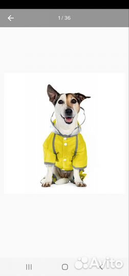 Дождевик для маленькой собаки. Размер М