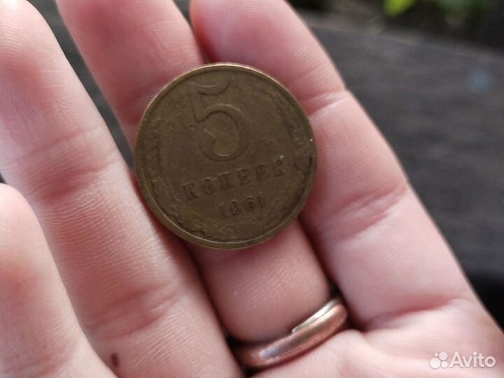 Монета 5 копеек 1961 года