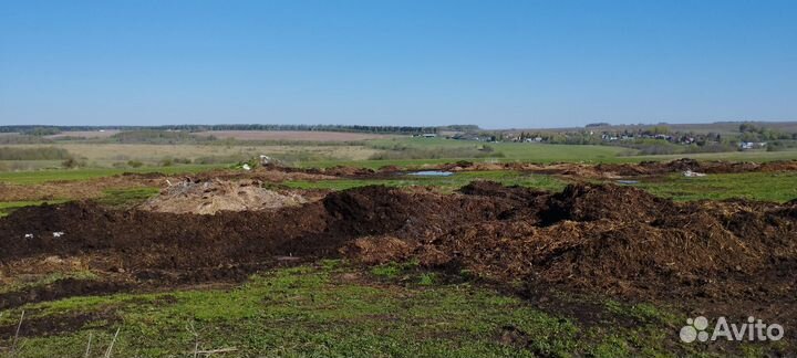 Конский навоз