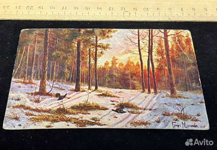 Почтовая карточка до 1917 Граф Муравьев