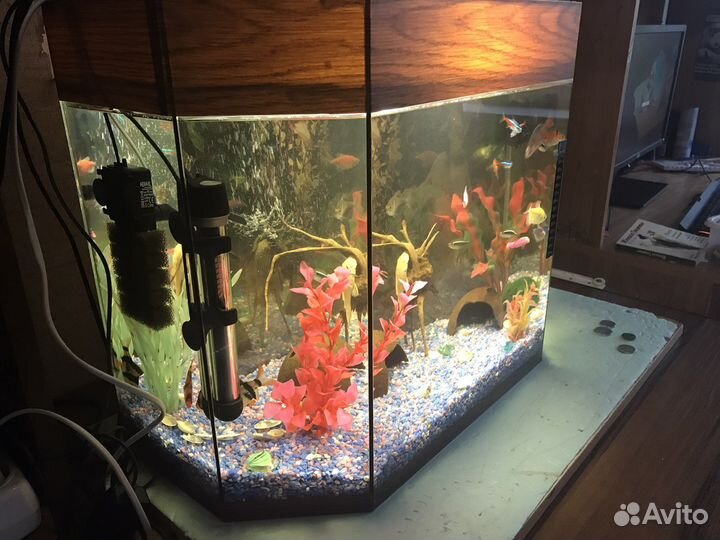 Аквариум с рыбками
