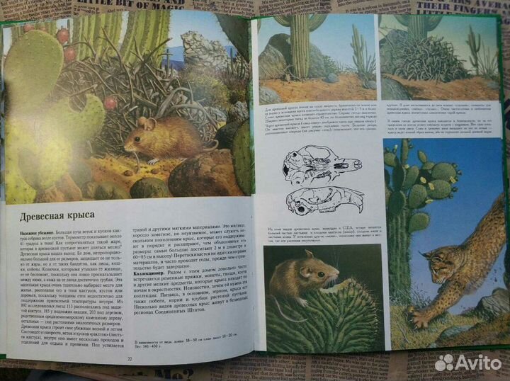 Книга для детей Животные-строители