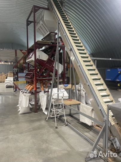 Кедровый орех очищенный высший сорт 2022