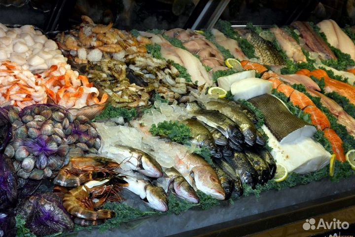 Создайте бизнес с франшизой рыбного магазина