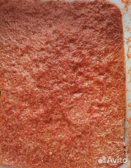 Трубочник Изя, Аулофорус