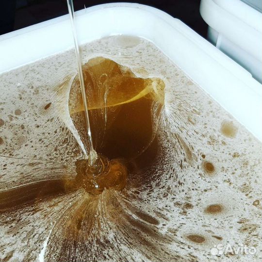 Мед и продукцию пчеловодства