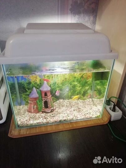 Аквариум