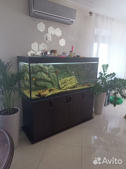 Аквариум с тумбой 600л