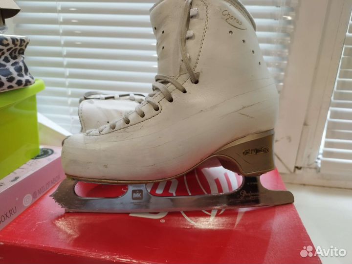 Фигурные коньки edea chorus 240