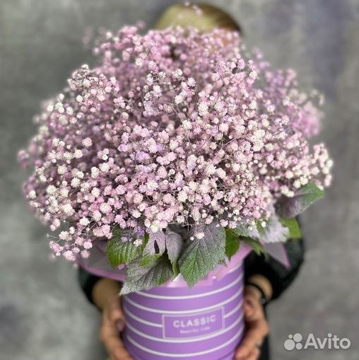 Букет Цветы Гипсофилы