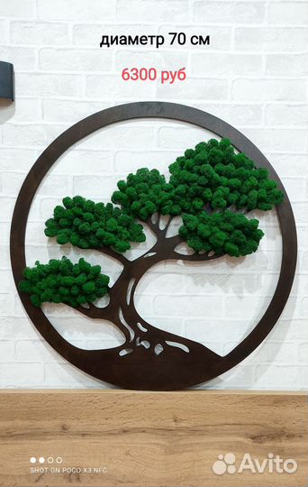 Панно и кашпо с стабилизированным мхом