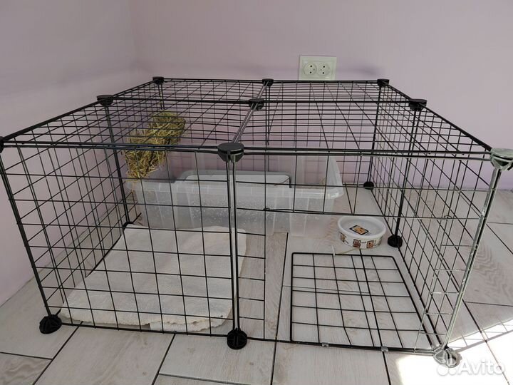 Декоративный кролик