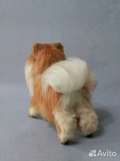 Игрушки из шерсти. Собачка шпиц