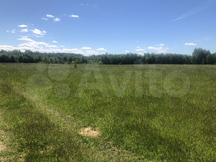 Участок 5 га (ИЖС)