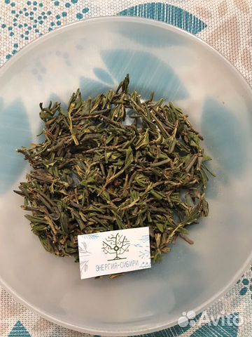 Саган-Дайля (Рододендрона Адамса )