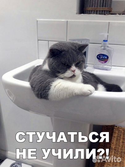 Приходящая Кото няня