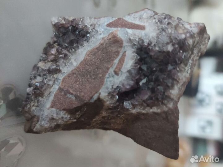 Ракушки морские и камни Заполярья