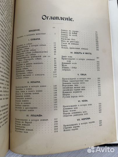 Клетт Р.Гольтгоф Л. Наши домашние животные. 1911