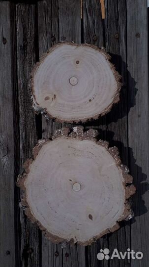 Торцевой Спил (Срез) березы -два среза
