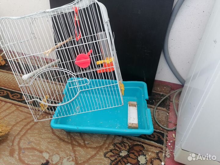 Большая клетка для птиц