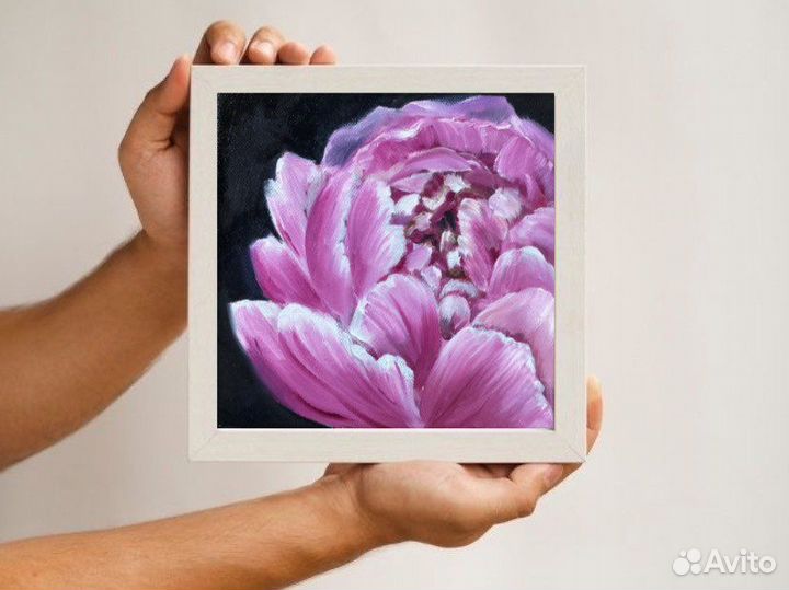 Пион миниатюра