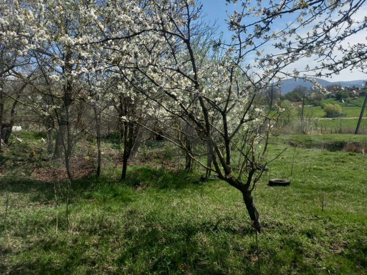 Участок 5 сот. (СНТ, ДНП)