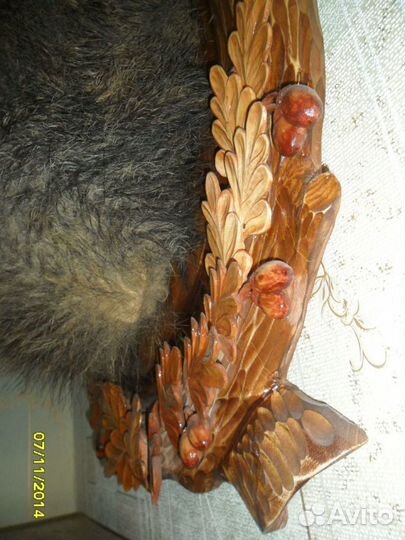 Чучело головы кабана на медальоне