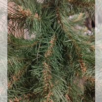 Елка искусственная б/у 140