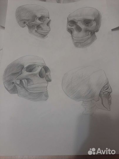 Академический рисунок, живопись