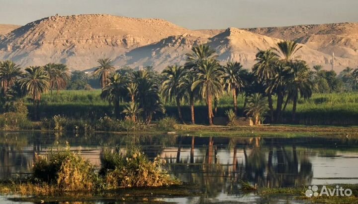 Путевочка в Египет на 6 нч