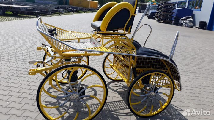 Экипажи для лошади маратон