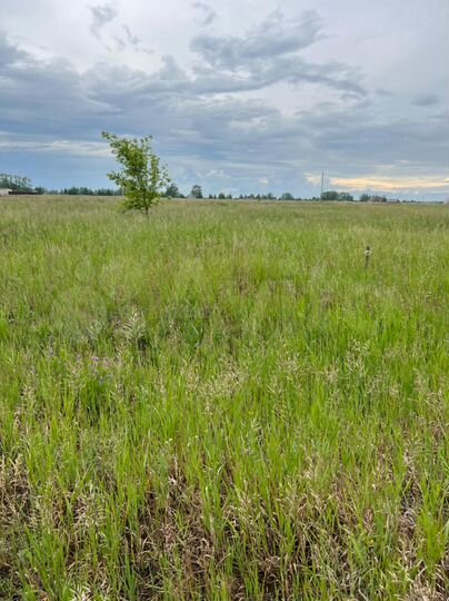 Участок 11,5 сот. (ИЖС)