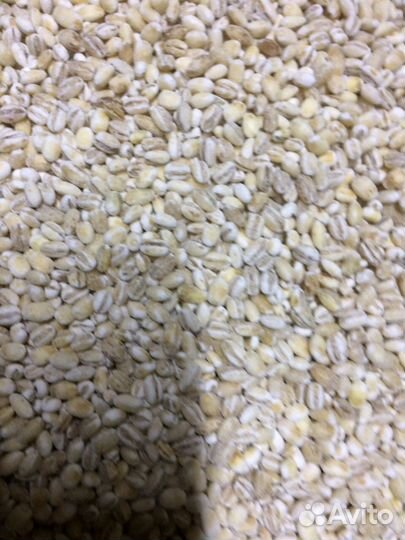 Продукты обработки зерна