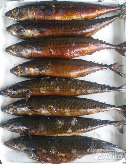 Домашнее копчение на заказ. Рыба и мясо