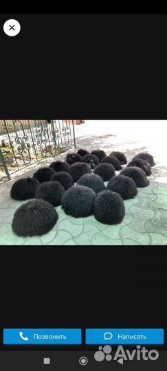 Папаха как у хабиба