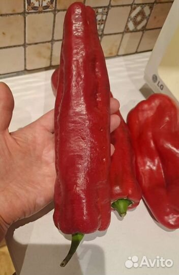 Перец сладкий
