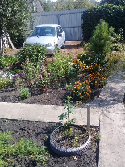 Дача 25 м² на участке 4,4 сот.