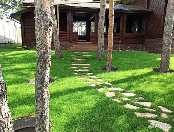 Рулонный газон от производителя. Укладка газона