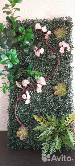 Вертикальное озеленение