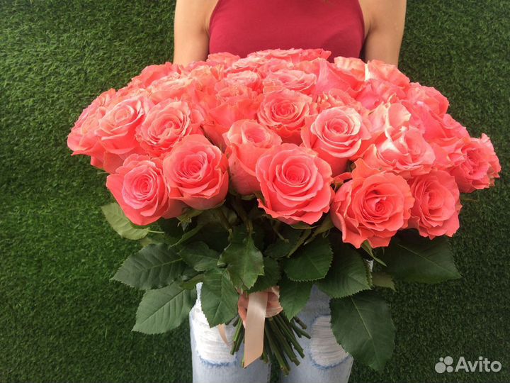 Букет 51 коралловая роза 40 см (Эквадор)
