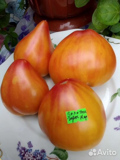 Синие горы Сержанта Пеппера