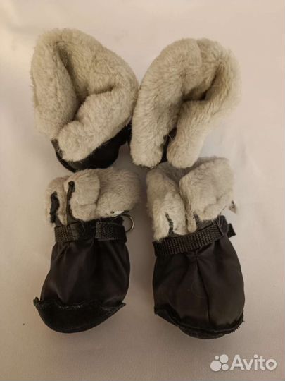 Одежда для средних собак