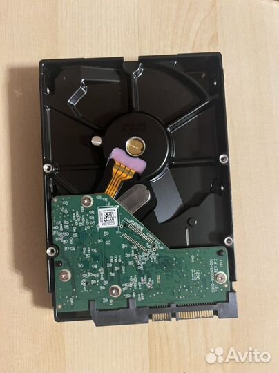 Жесткий диск Western Digital WD blue 1tb wd10ezex