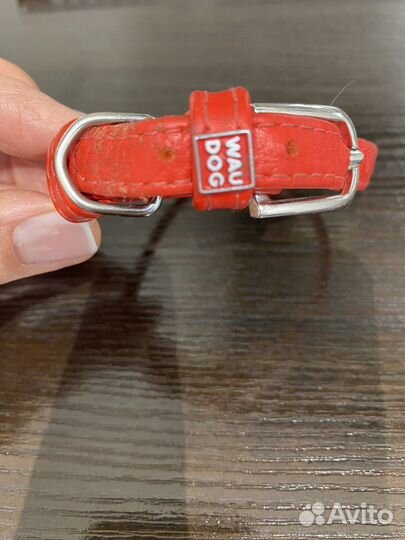 Кожаный ошейник