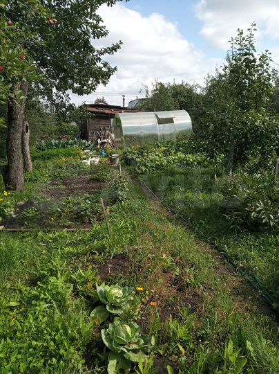 Дача 24 м² на участке 5,3 сот.