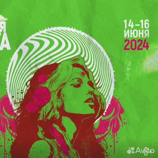 Билет на Дикую Мяту