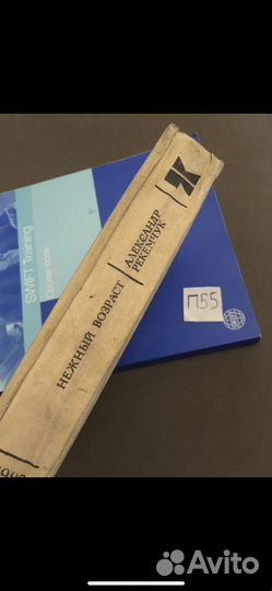 Александр Рекемчук - Нежный возраст