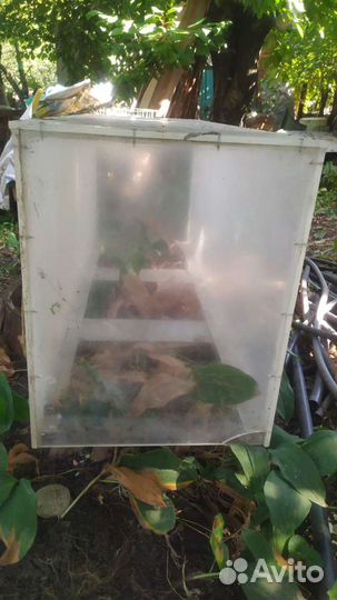 Аквариум для раков 500л