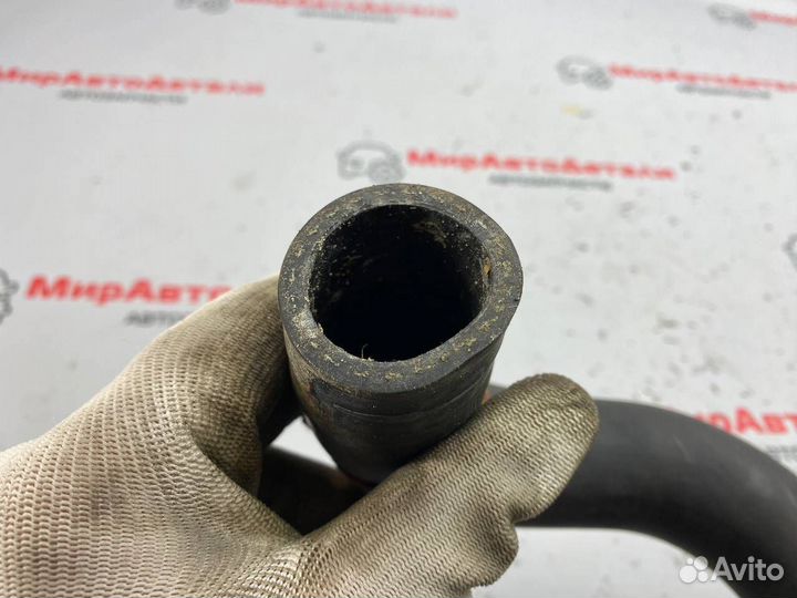 Патрубок радиатора Honda Civic 10 2017